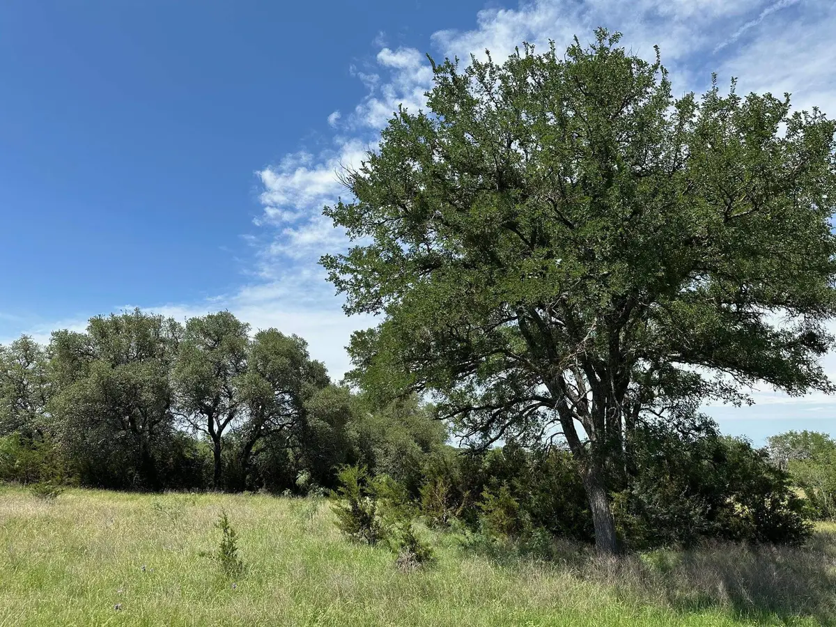 unk County Road 330, Bertram, TX 78605 - #1