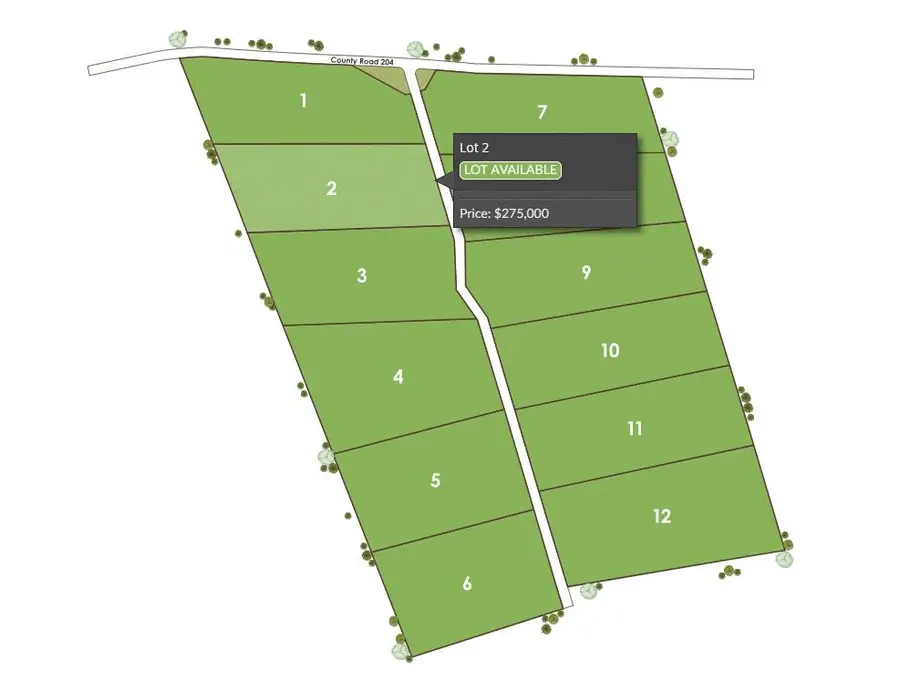 Tract 2 County 204 Road, Burnet, TX 78611 - #3