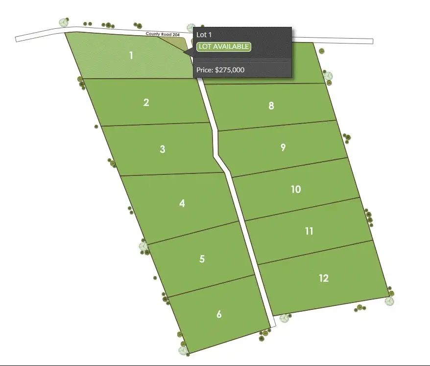 Tract 1 County 204 Road, Burnet, TX 78611 - #3