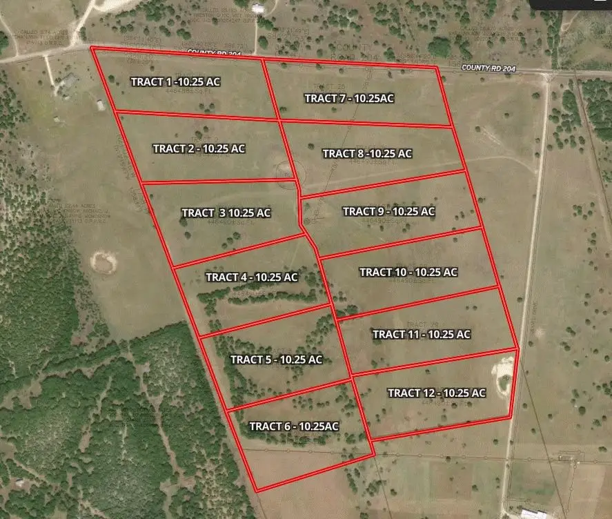 Tract 4 County 204 Road, Burnet, TX 78611 - #1