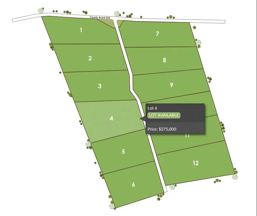 Tract 4 County 204 Road, Burnet, TX 78611 - #3