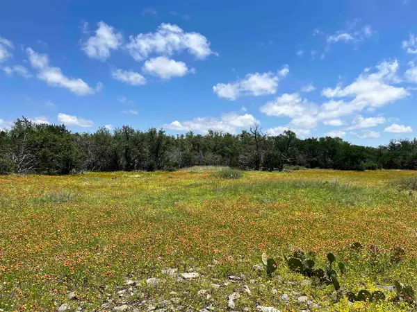 LOT 28 Twisted Oak Drive, Horseshoe Bay, TX 78657