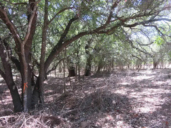 606 Sandy Mountain Drive, Sunrise Beach, TX 78643