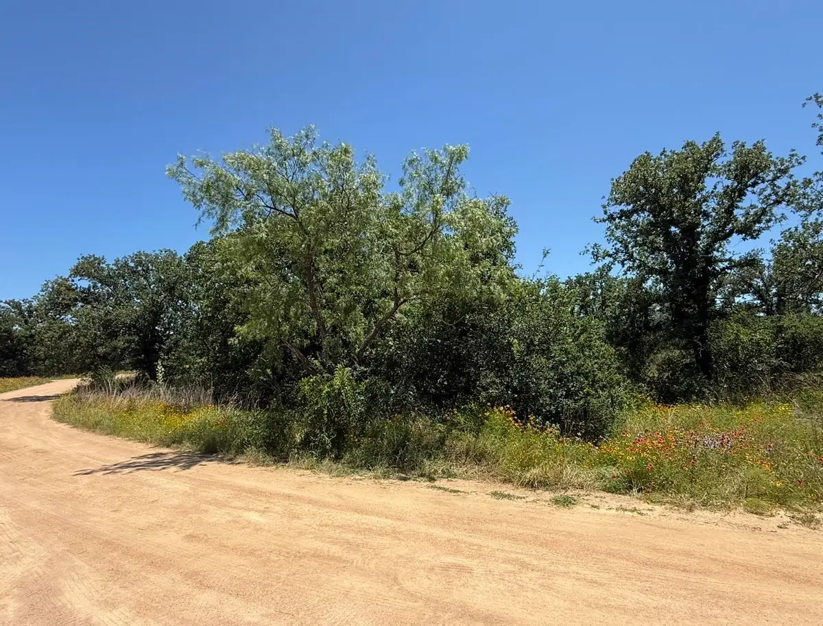 TBD North Pass, Kingsland, TX 78639 - #1