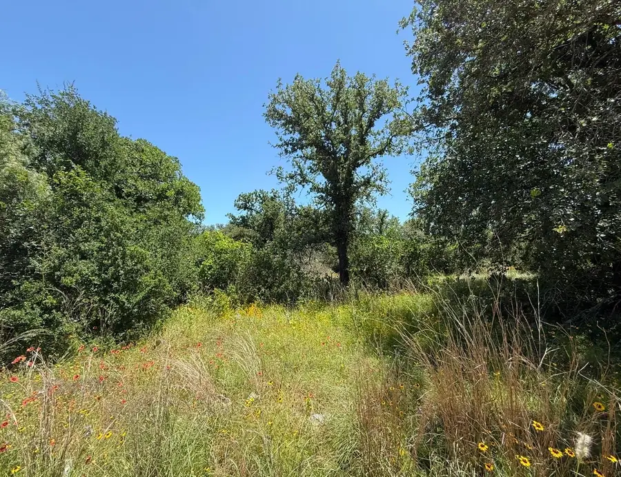 TBD North Pass, Kingsland, TX 78639 - #3