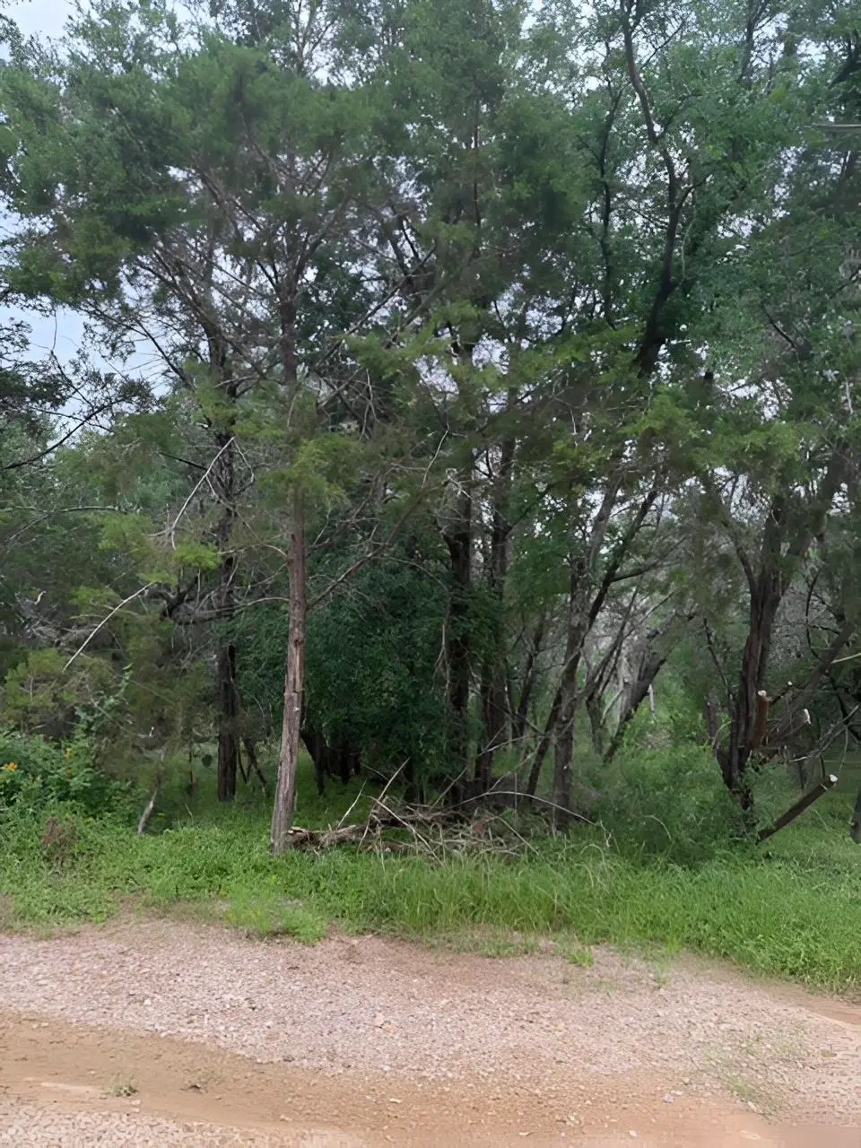 45 Lunar Dr, Burnet, TX 78611 - #1