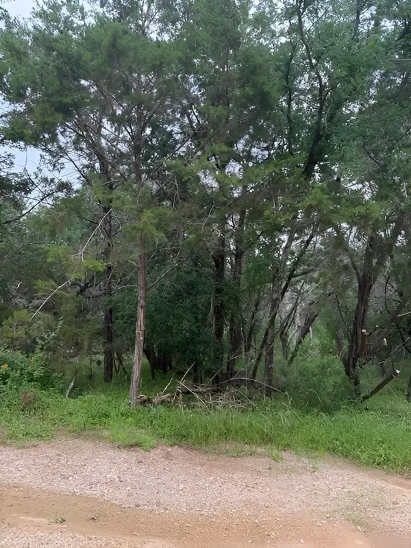 45 Lunar Dr, Burnet, TX 78611