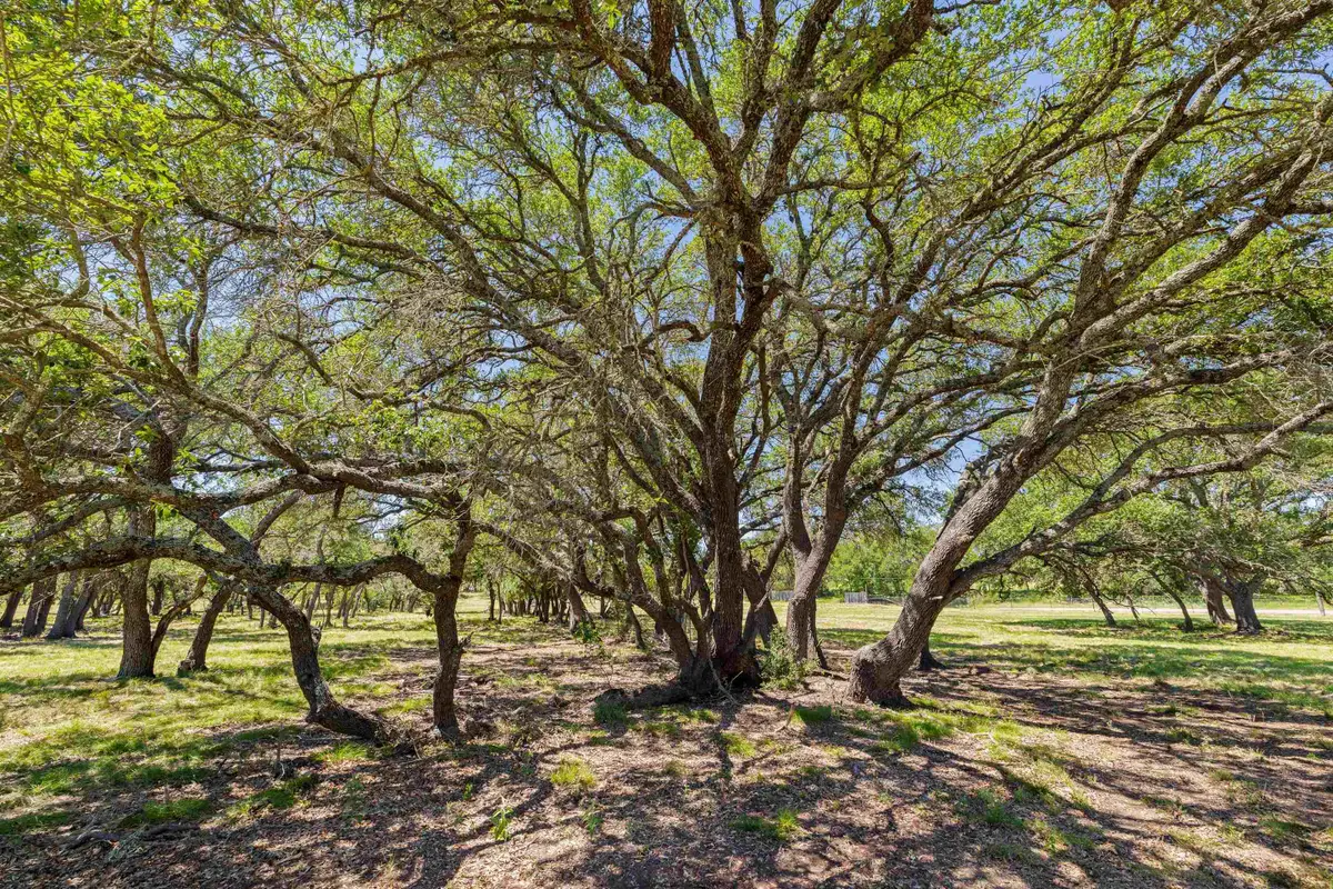 937 Flat Creek Road, Johnson City, TX 78636 - #1
