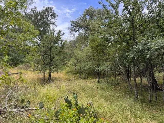 Lot 27 Pecan Lane, Cottonwood Shores, TX 78657 - #3