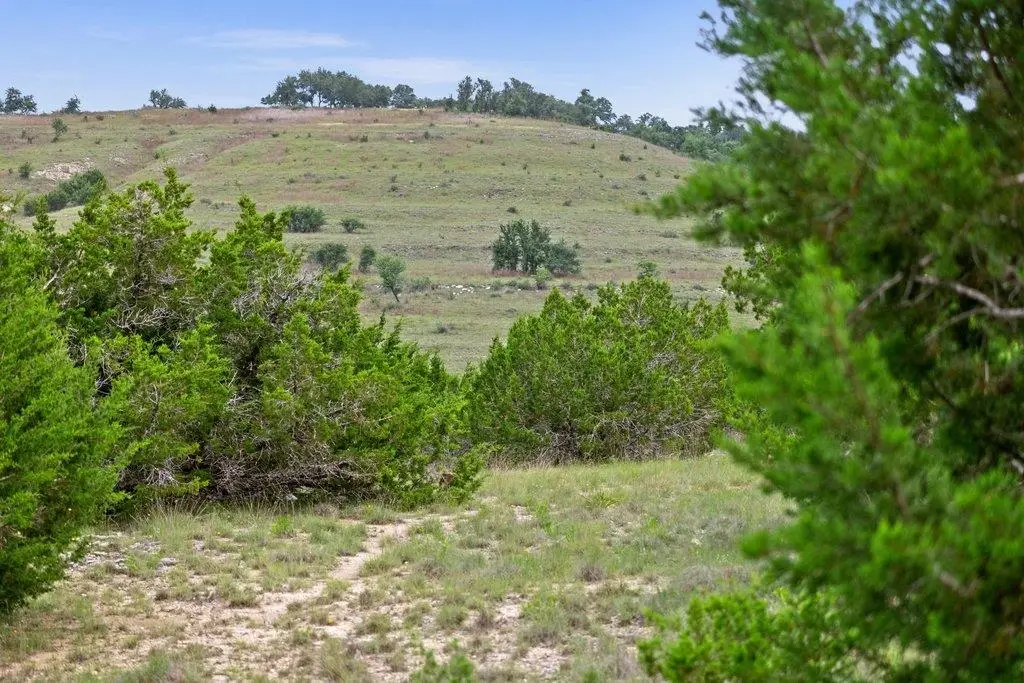 292 N Scenic Hills Court, Blanco, TX 78606 - #1