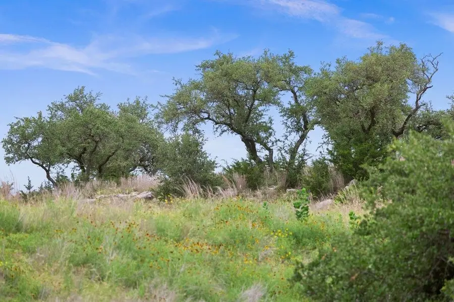 292 N Scenic Hills Court, Blanco, TX 78606 - #3