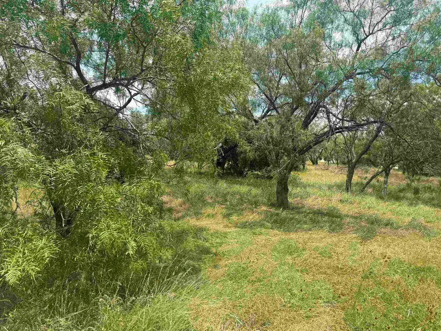 312 Lakawana, Horseshoe Bay, TX 78657 - #2