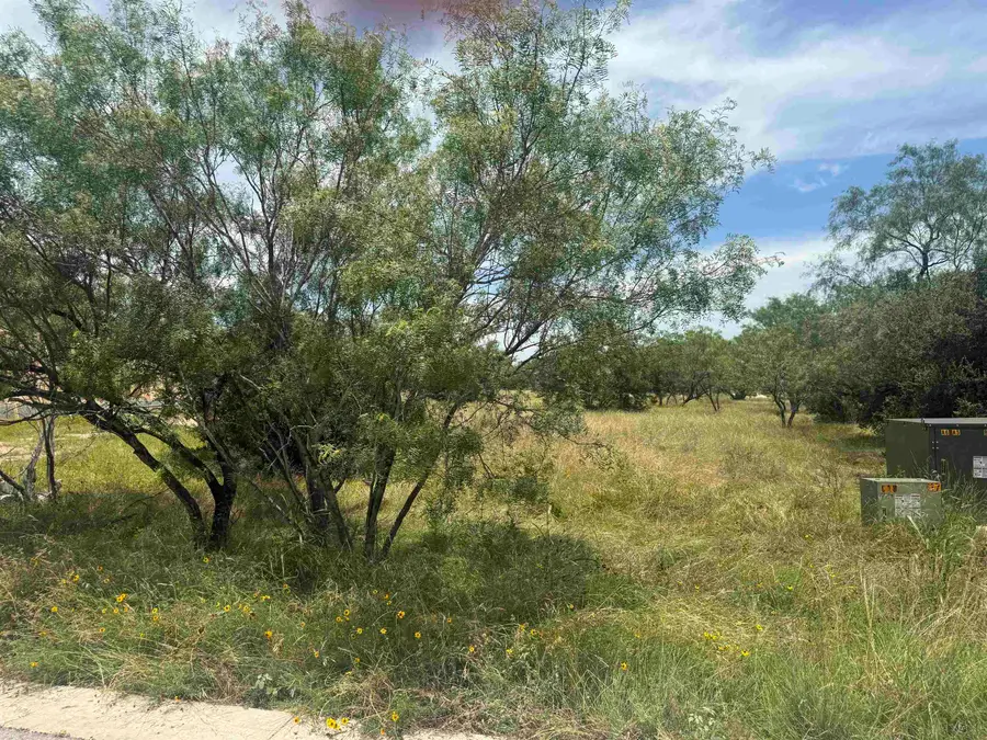 310 Lakawana, Horseshoe Bay, TX 78657 - #3