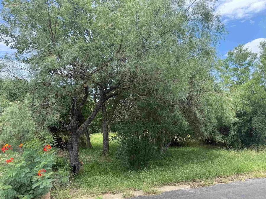 306 Kleen Ayre, Horseshoe Bay, TX 78657 - #2