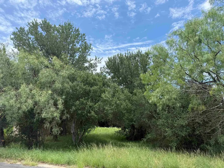 306 Kleen Ayre, Horseshoe Bay, TX 78657 - #3