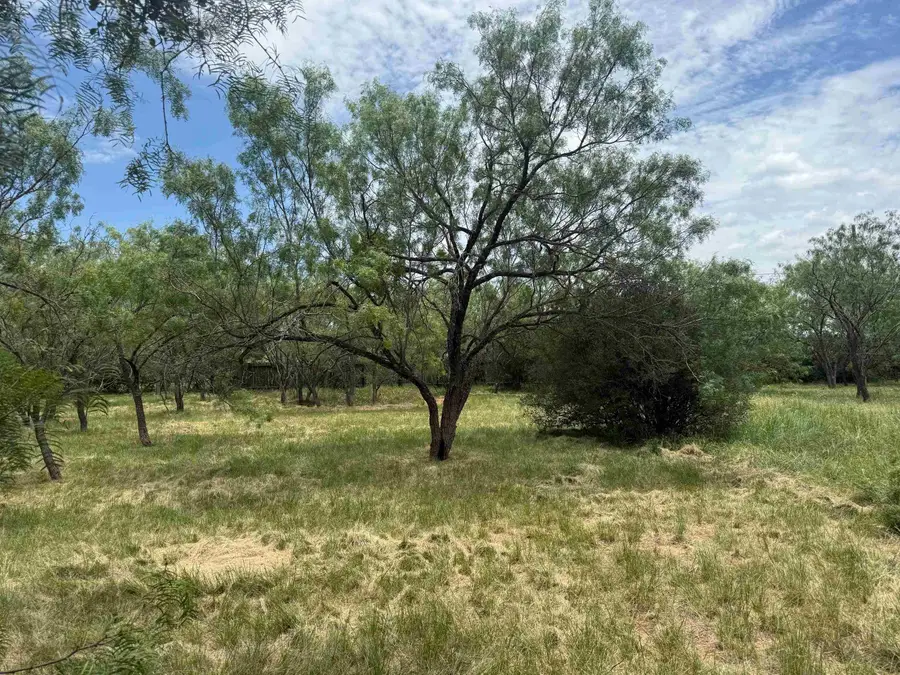 LT W22059A Sun Ray, Horseshoe Bay, TX 78657 - #2