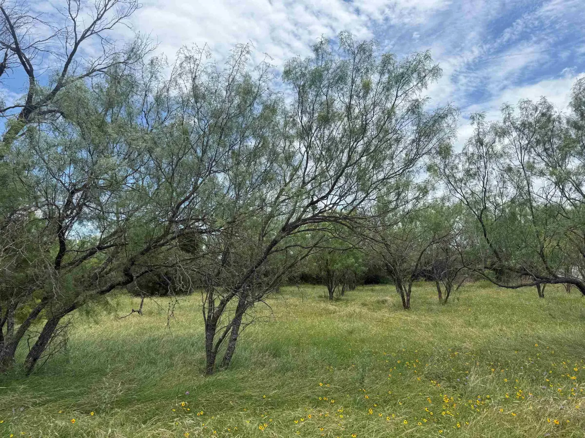 LT W22059B Sun Ray, Horseshoe Bay, TX 78657 - #1