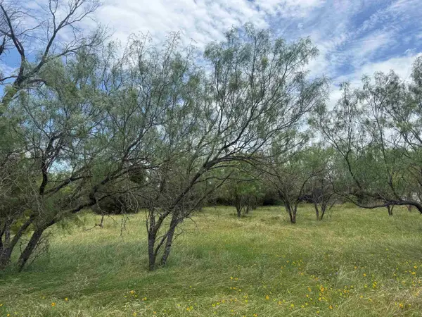 LT W22059B Sun Ray, Horseshoe Bay, TX 78657