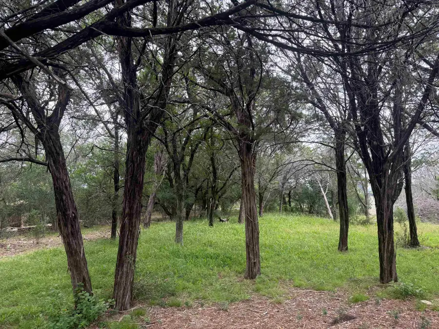 LT 44015-A Mountain Dew, Horseshoe Bay, TX 78657 - #2