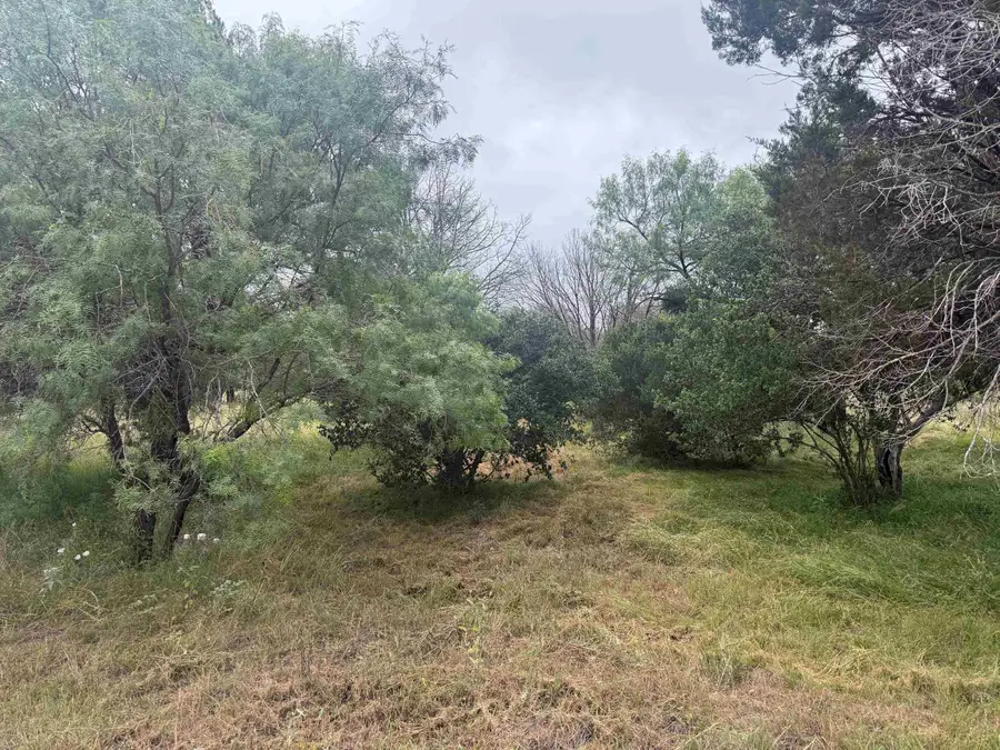 103 Blue Fox, Horseshoe Bay, TX 78657 - #3