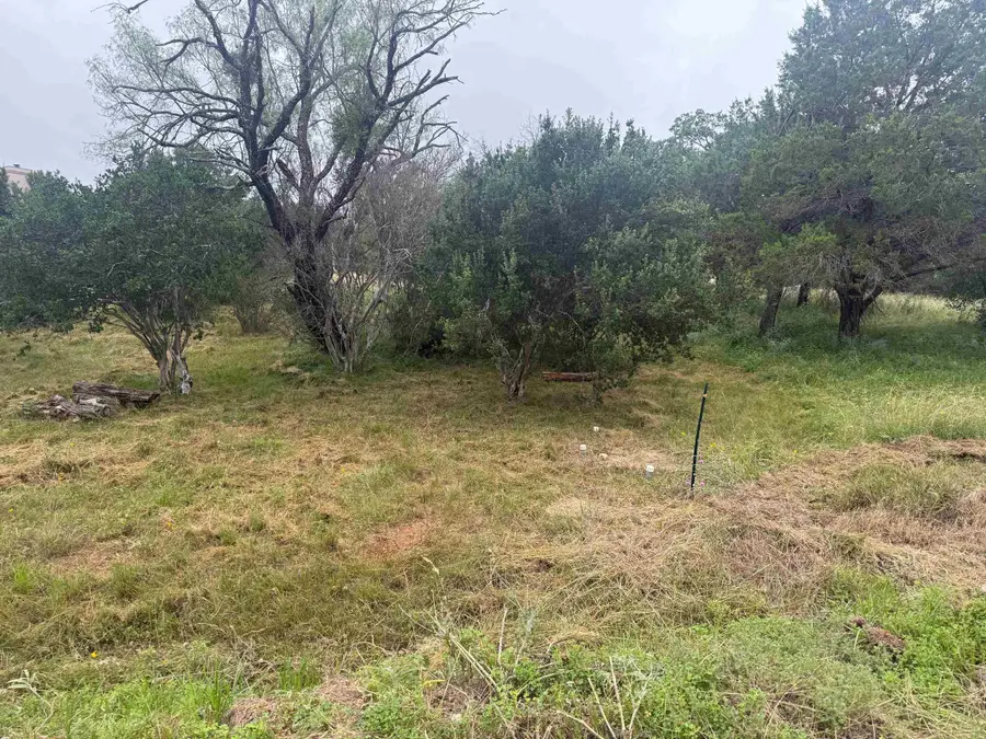 109 Blue Fox, Horseshoe Bay, TX 78657 - #2