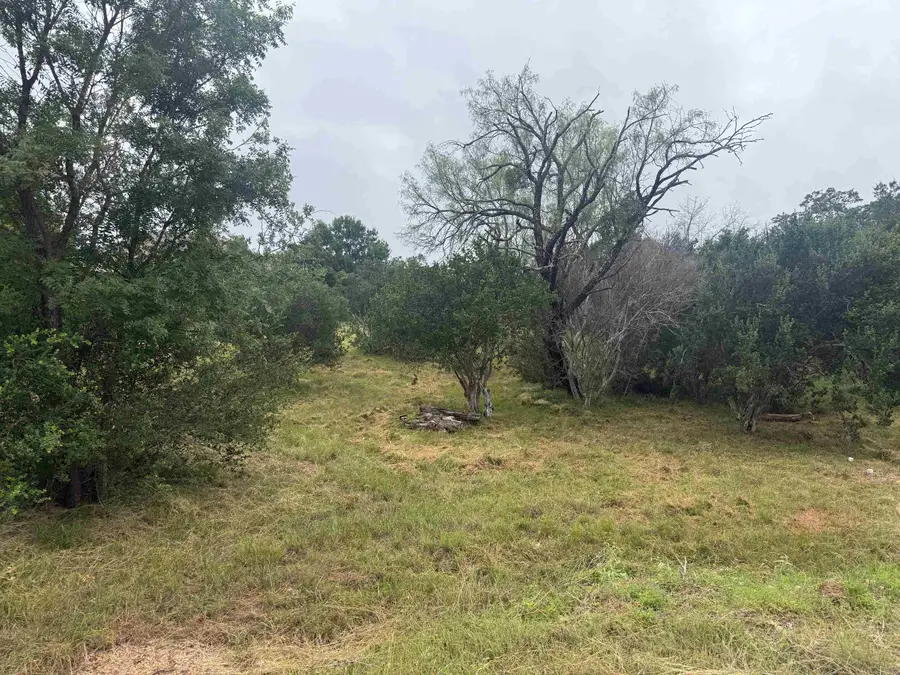109 Blue Fox, Horseshoe Bay, TX 78657 - #3