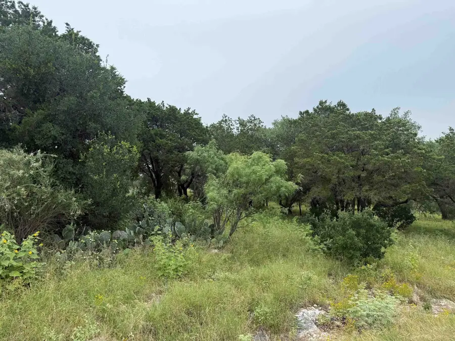 LT 27043 Buck, Horseshoe Bay, TX 78657 - #3