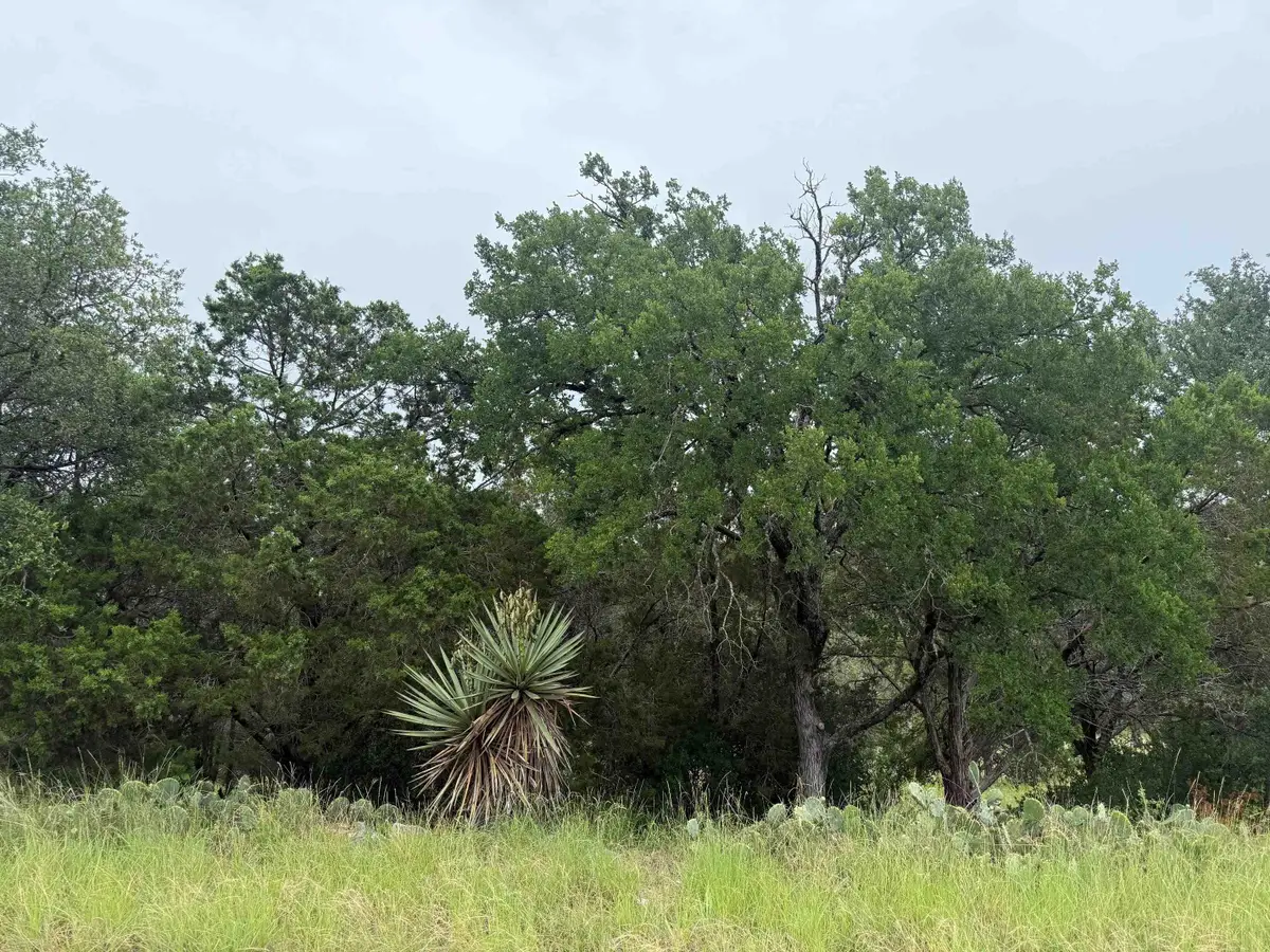 LT 27122 Hi Mesa, Horseshoe Bay, TX 78657 - #1