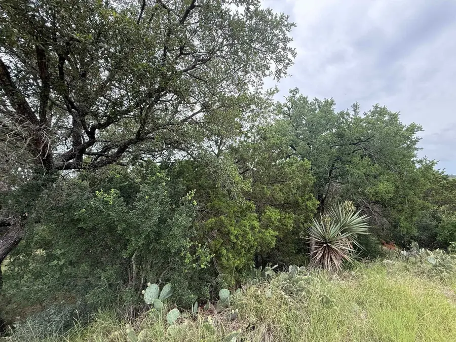 LT 27122 Hi Mesa, Horseshoe Bay, TX 78657 - #2