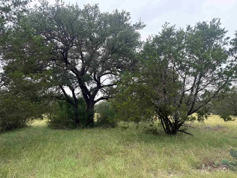LT 1037 South Wind, Horseshoe Bay, TX 78657 - #2