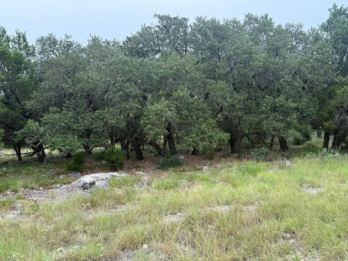 LT 14099 South Wind, Horseshoe Bay, TX 78657 - #1