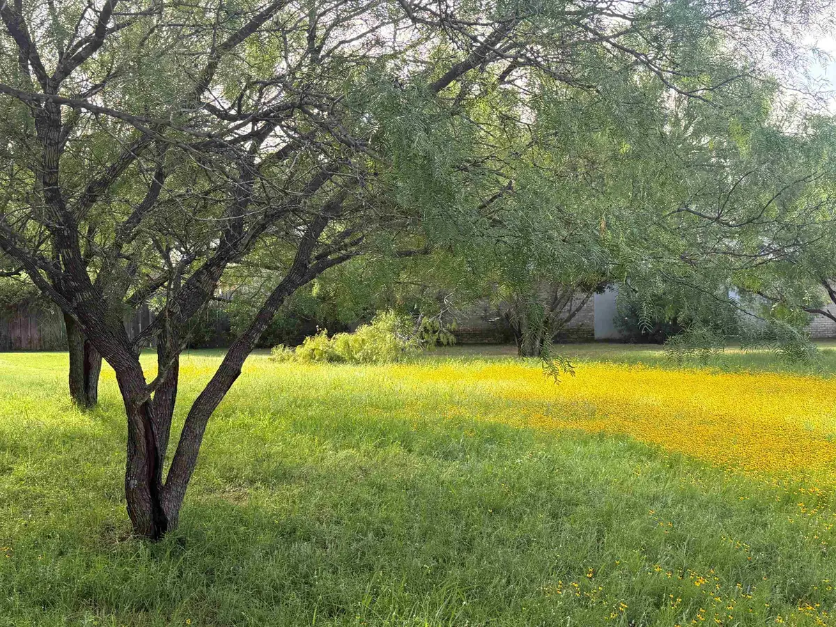LT W19022-B Fault Line Dr, Horseshoe Bay, TX 78657 - #1