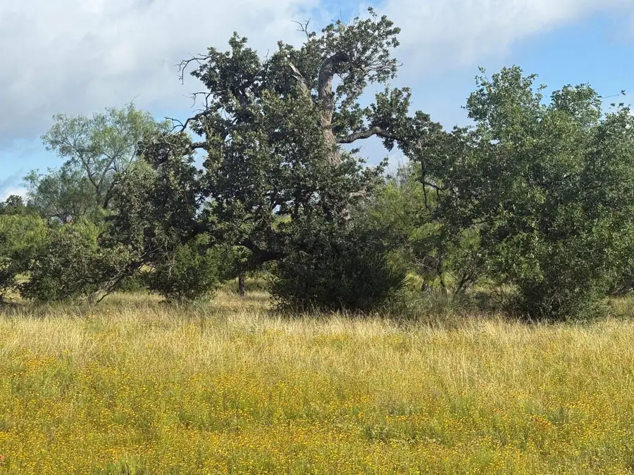 LT W20007-B Fault Line, Horseshoe Bay, TX 78657 - #2