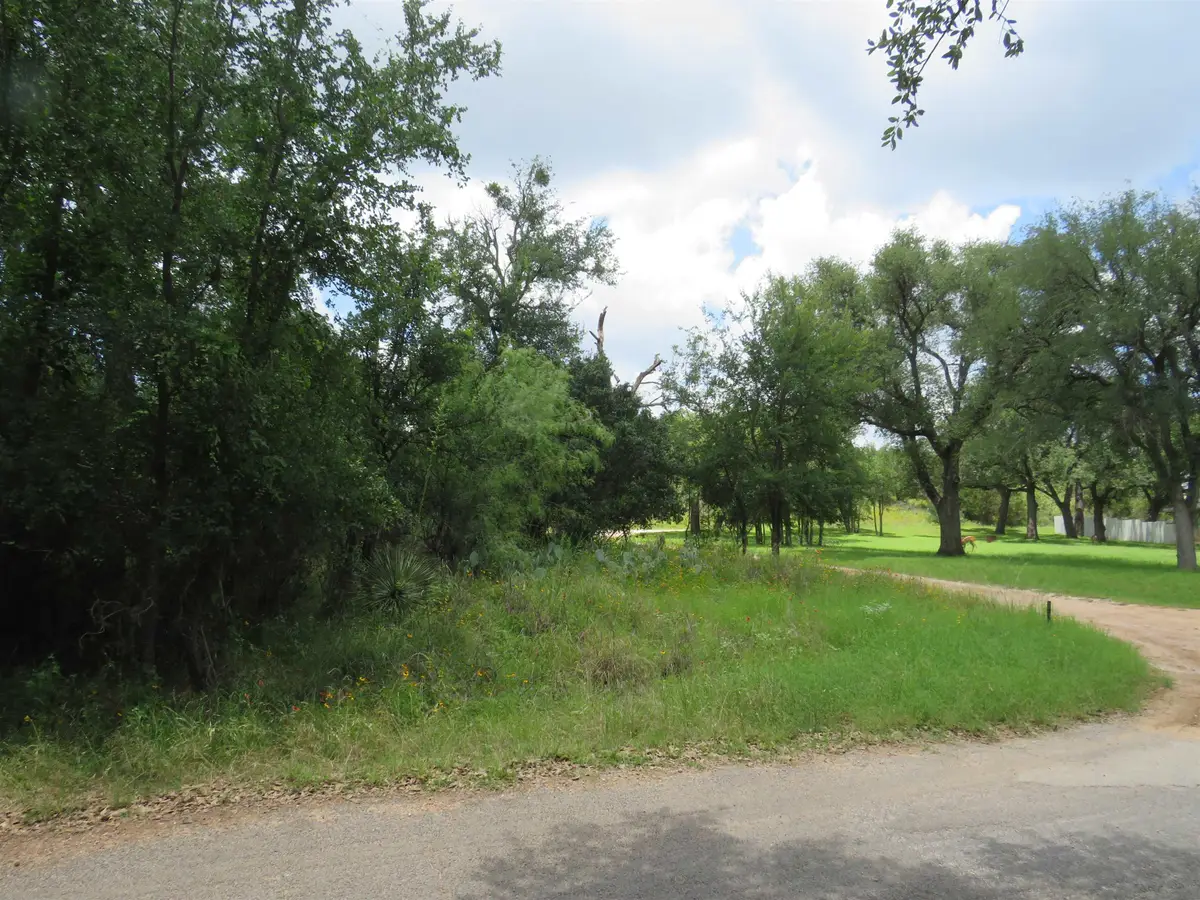 Lot 163 Buena Vista Drive, Burnet, TX 78611 - #1