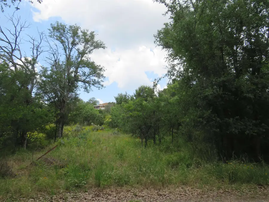 Lot 163 Buena Vista Drive, Burnet, TX 78611 - #3