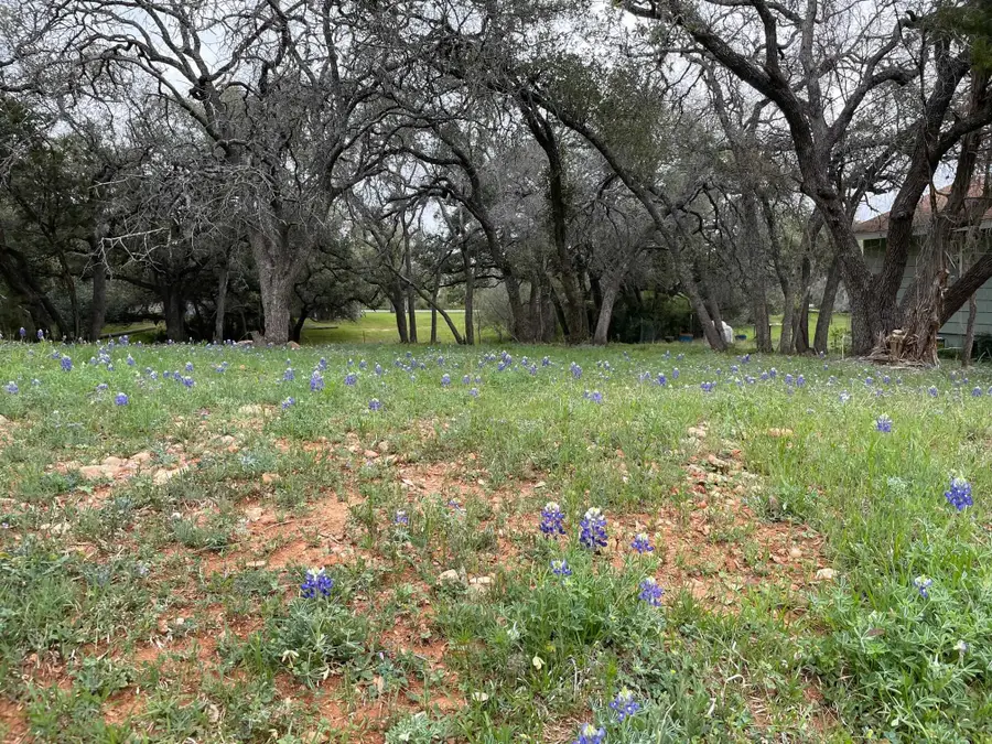 Lot 155 Wanta Hideaway Way, Spicewood, TX 78669-0155 - #3