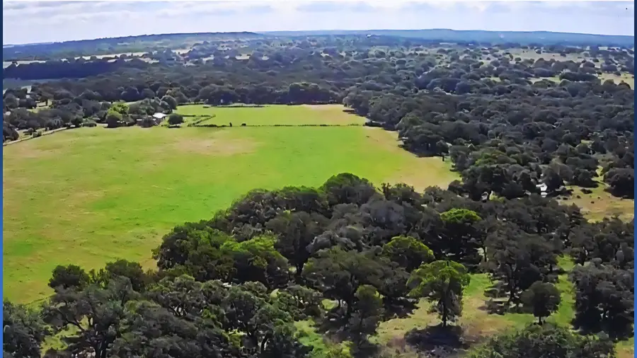 290 Cr 409, Cherokee, TX 76832 - #2