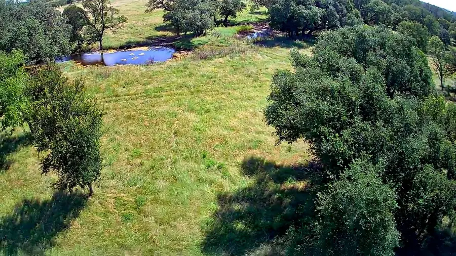 290 Cr 409, Cherokee, TX 76832 - #3