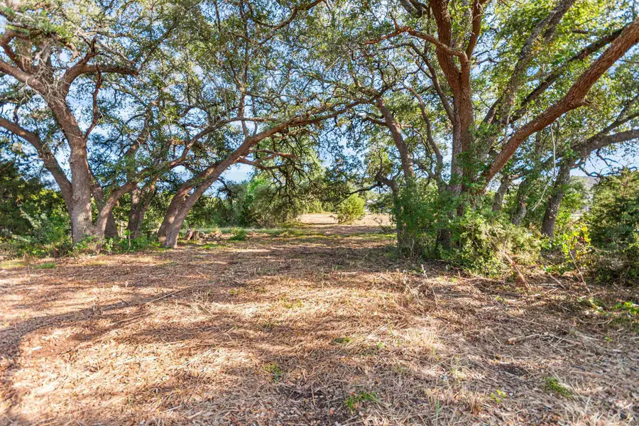 Lot 160 Brumley View Court, Marble Falls, TX 78654 - #2