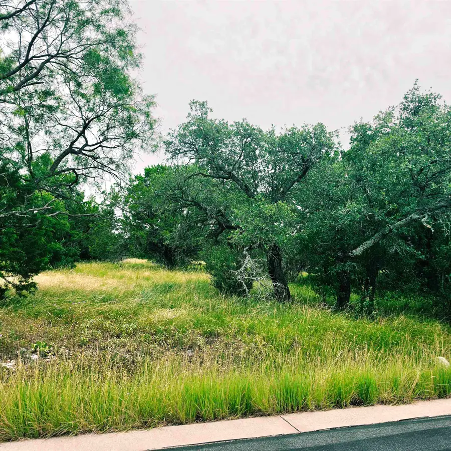 419 Hi Ridge, Horseshoe Bay, TX 78657 - #3