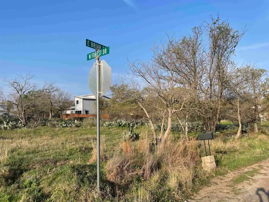 Lots 168-171 E Briar, Granite Shoals, TX 78654 - #2