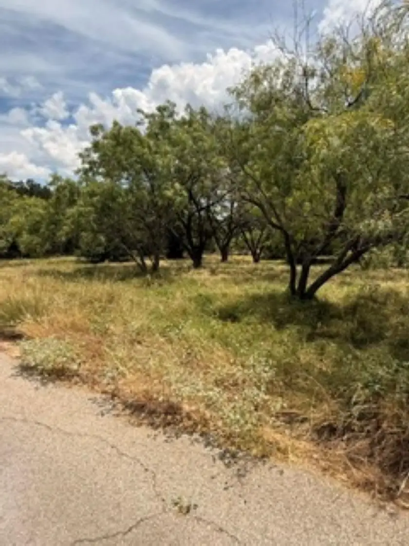105 Cat Canyon, Horseshoe Bay, TX 78657 - #3