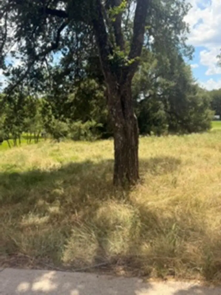 W4081 Faultline Drive, Horseshoe Bay, TX 78657 - #3