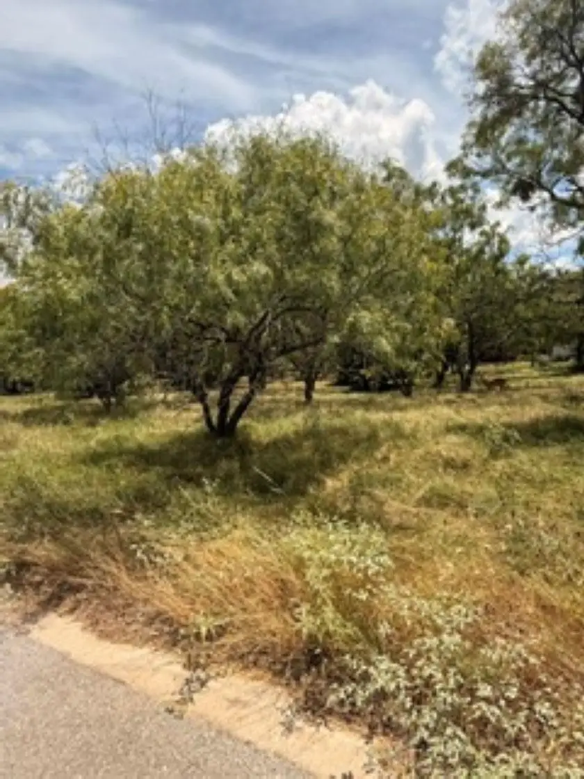 W7017 Sky Lane, Horseshoe Bay, TX 78657 - #2
