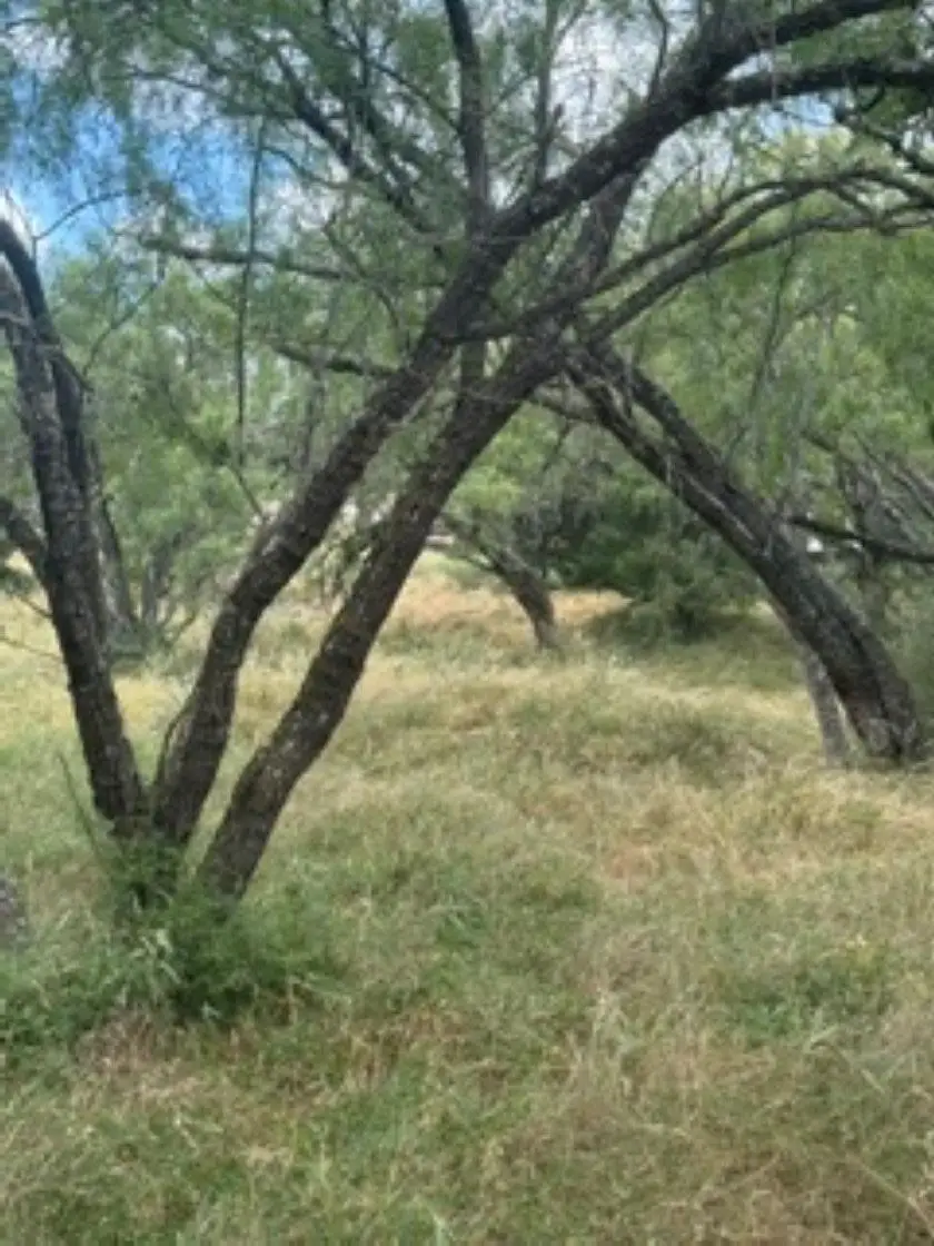 708 Sky Lane, Horseshoe Bay, TX 78657 - #3