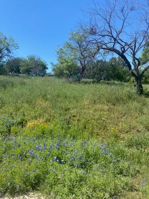 W18072 Spider Valley Drive, Horseshoe Bay, TX 78657