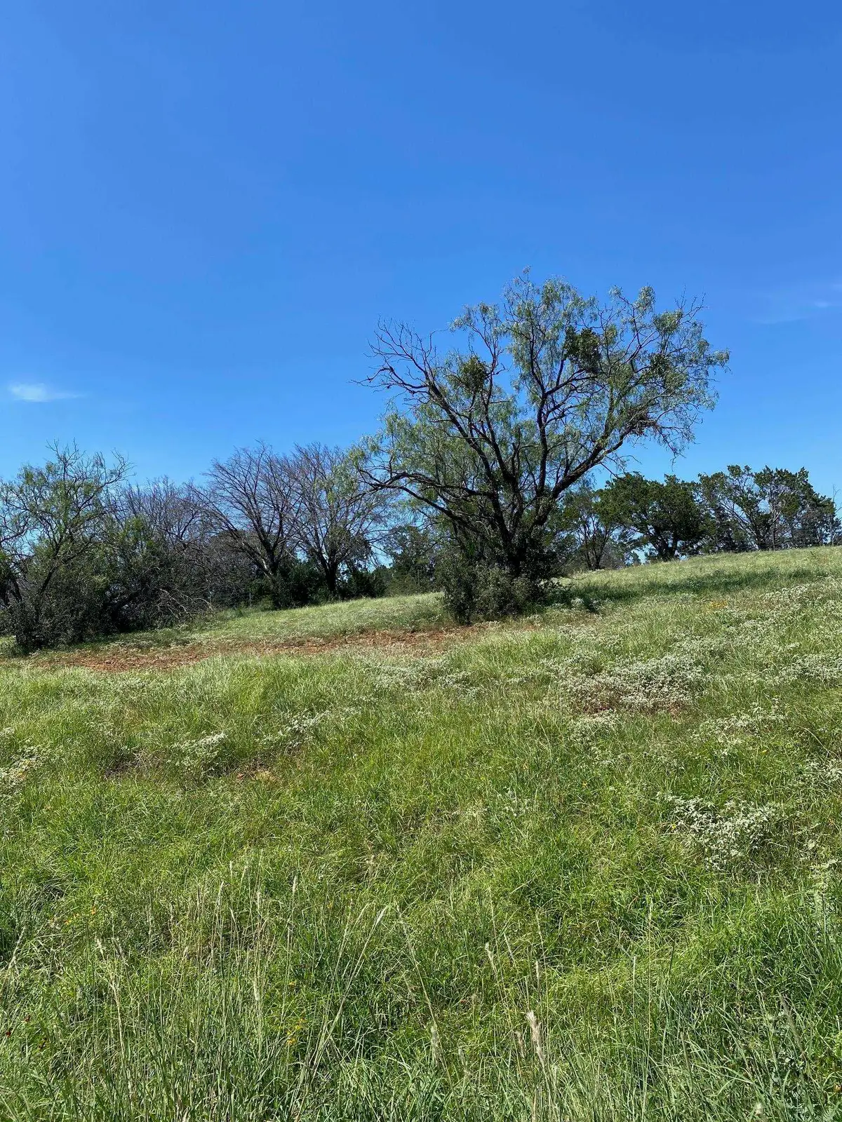 W25004 Apache Tears, Horseshoe Bay, TX 78657 - #1