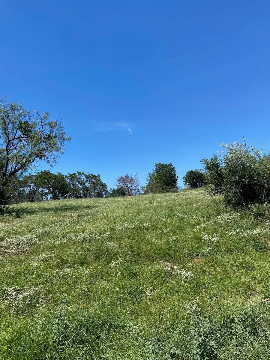 W25004 Apache Tears, Horseshoe Bay, TX 78657 - #3