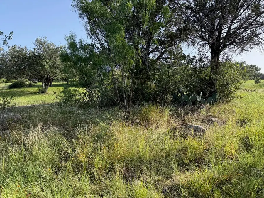 Lot W34007 Douglas, Horseshoe Bay, TX 78657 - #3