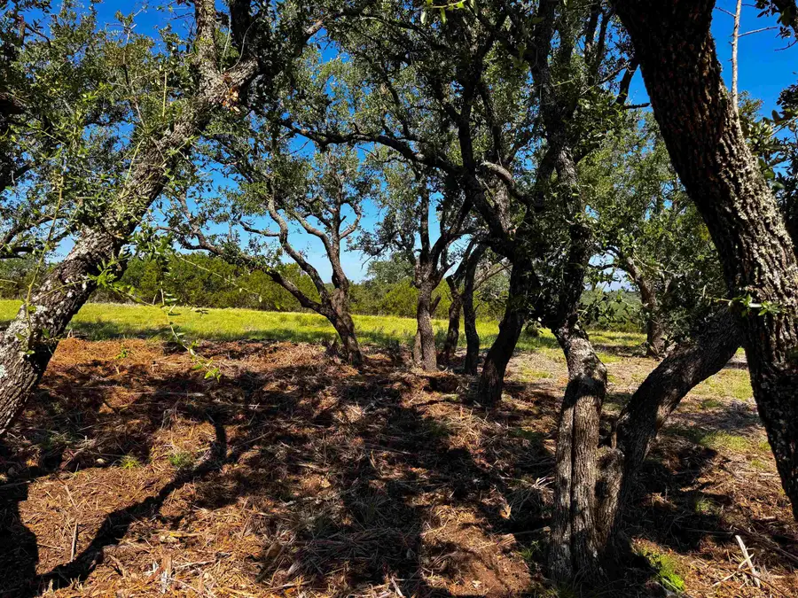 Lot 54 County Road 367, Pontotoc, TX 76869 - #2